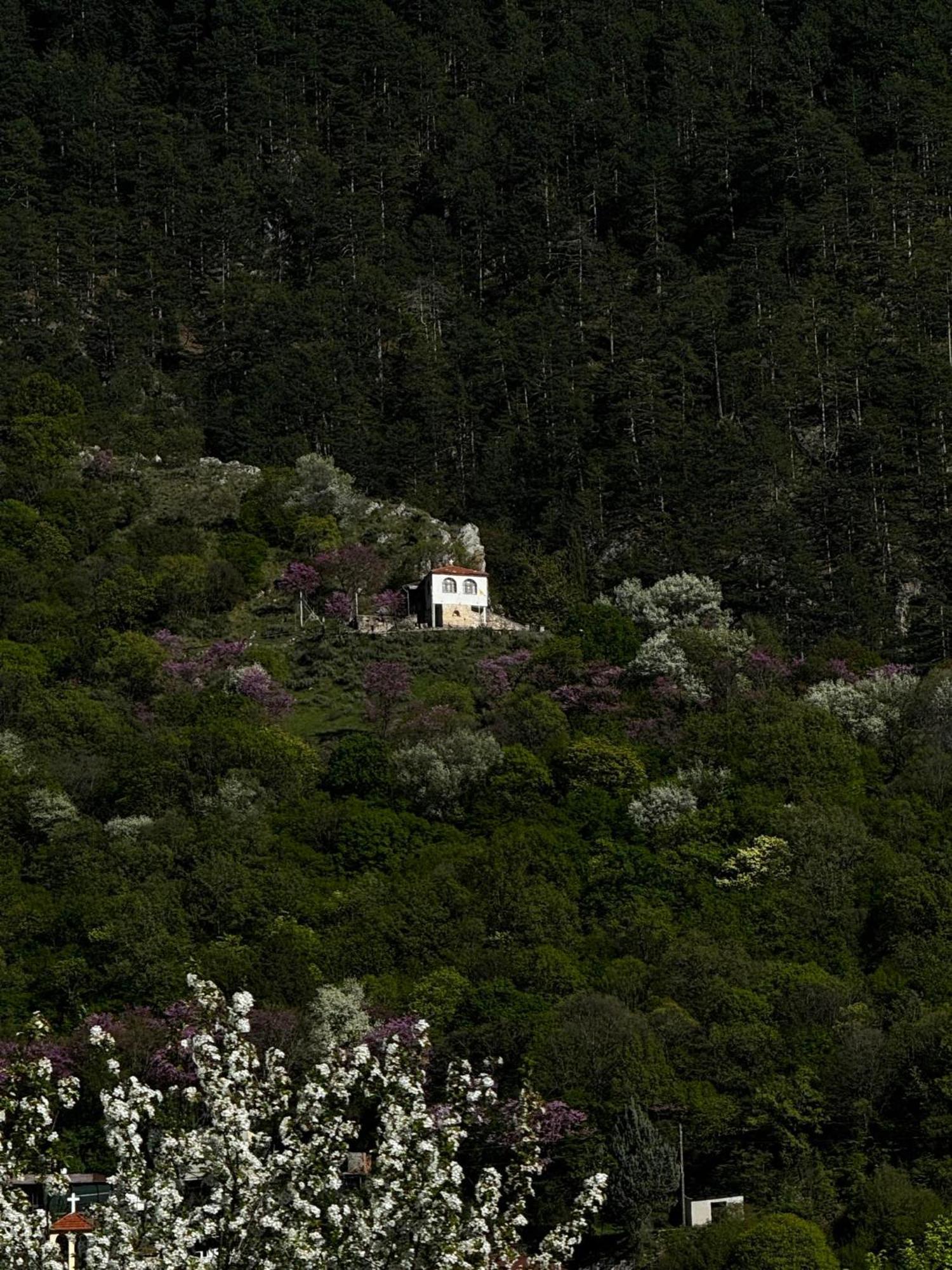 Mountain Serenity Konitsa Extérieur photo