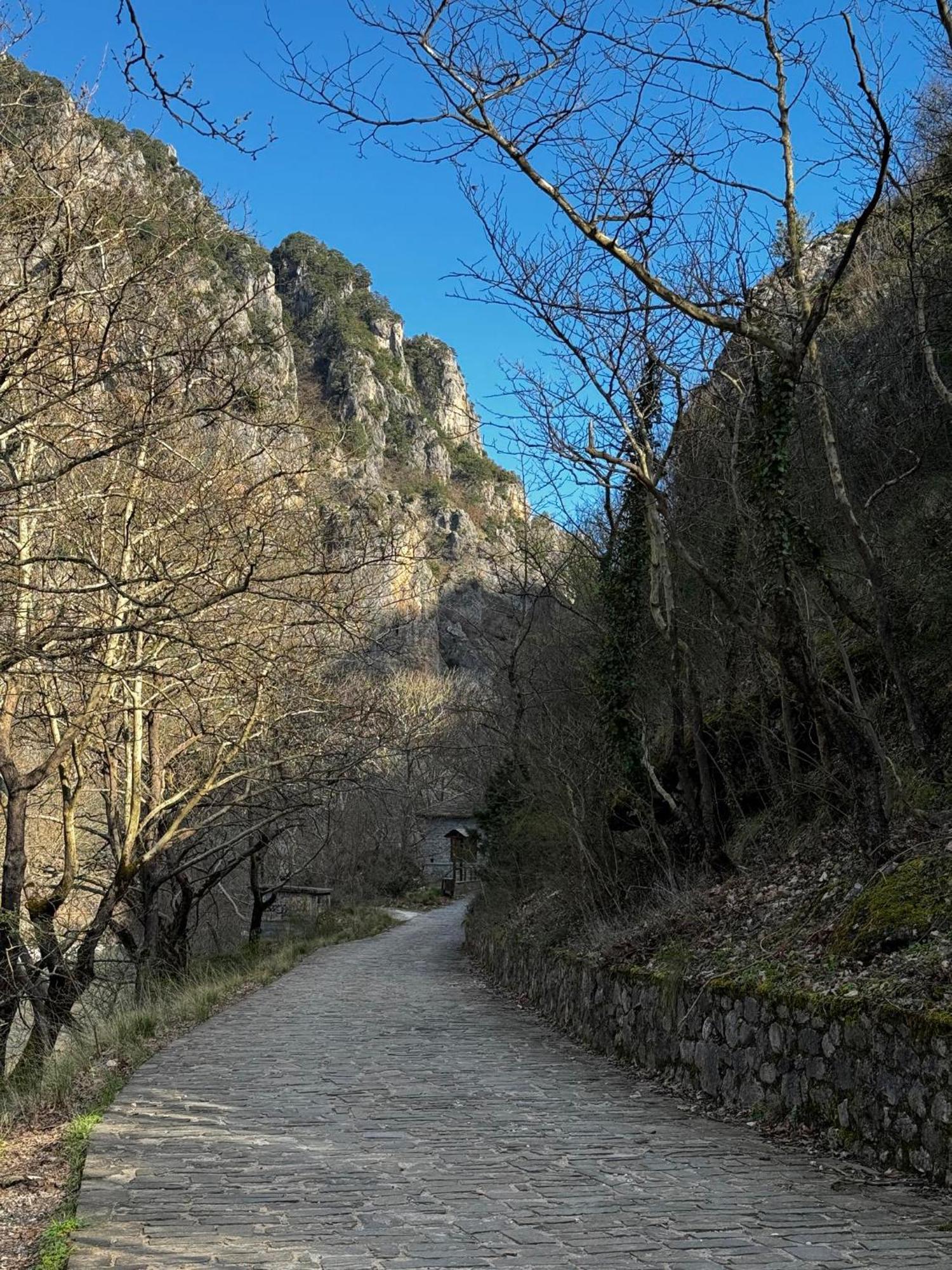 Mountain Serenity Konitsa Extérieur photo